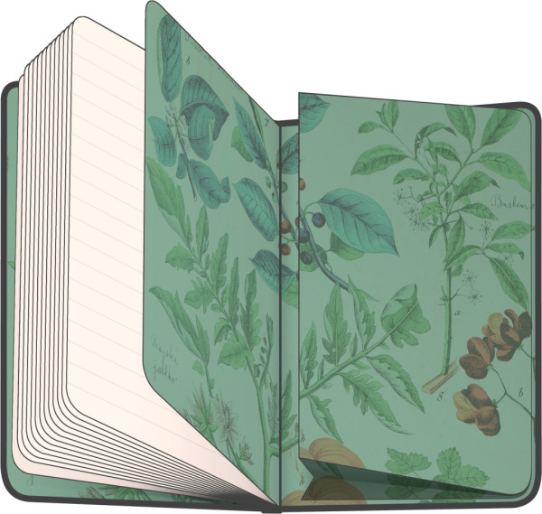 NOTIQUE Notes Bylinky Kateřiny Winterové, linajkovaný, 13 x 21 cm 3