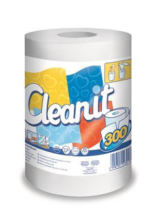 Papierové utierky, kotúčové, univerzálne, 2-vrstvové, LUCART "CLEANIT 300", biele 1