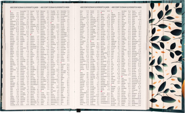 NOTIQUE Týždenný magnetický diár Líška 2026, 11 x 16 cm 7