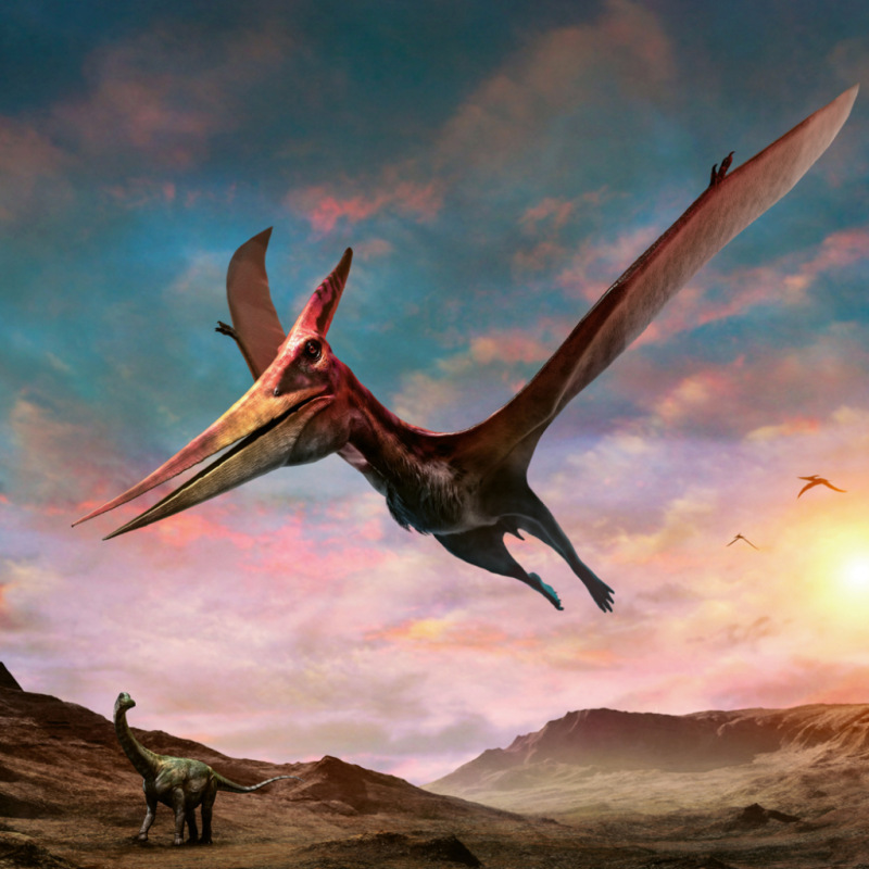 NOTIQUE Grid calendar Dinosaurs 2027, 30 x 30 cm 9