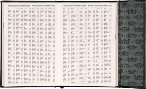 NOTIQUE Týždenný magnetický diár Harry Potter – Lumos 2026, 11 x 16 cm 7