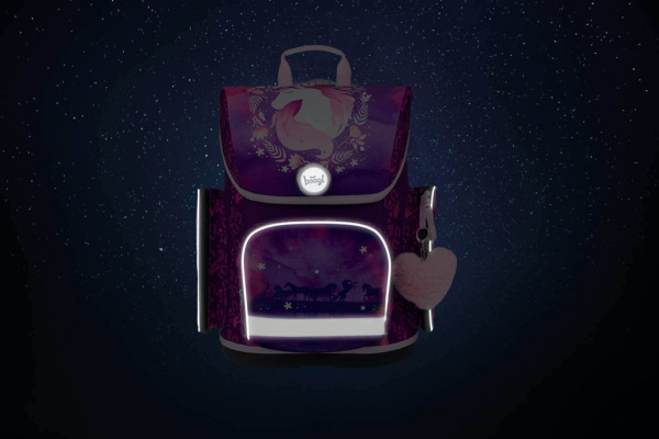 BAAGL SADA 5 Ergo Kôň: aktovka, peračník, vrecko, zástera, peňaženka 5