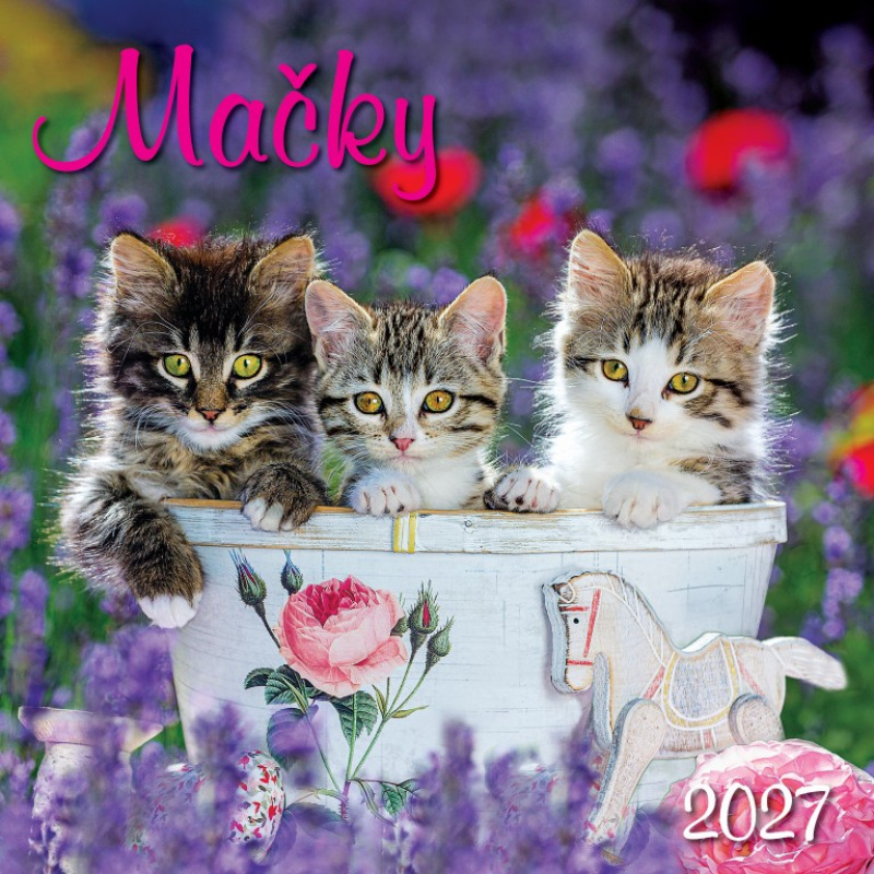 Nástenný kalendár Mačky 2027 1