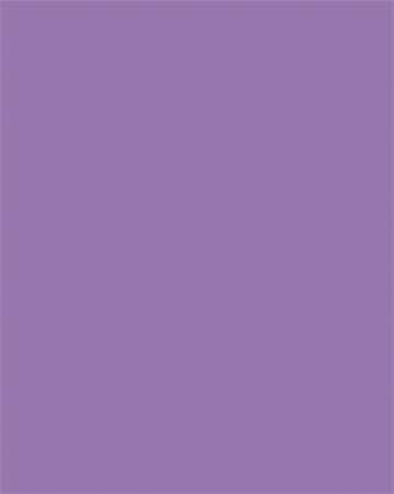 Dekoračný kartón, 2 stranný, 50x70 cm, 220 g, 10 listov, FOLIA, tmavý orgovánový 1