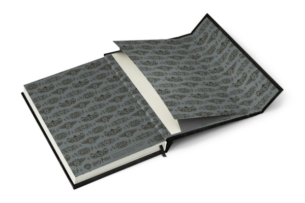 NOTIQUE Týždenný magnetický diár Harry Potter – Lumos 2026, 11 x 16 cm 8