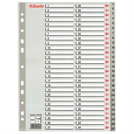 Register, plastový, A4, 1-54, ESSELTE, sivý
