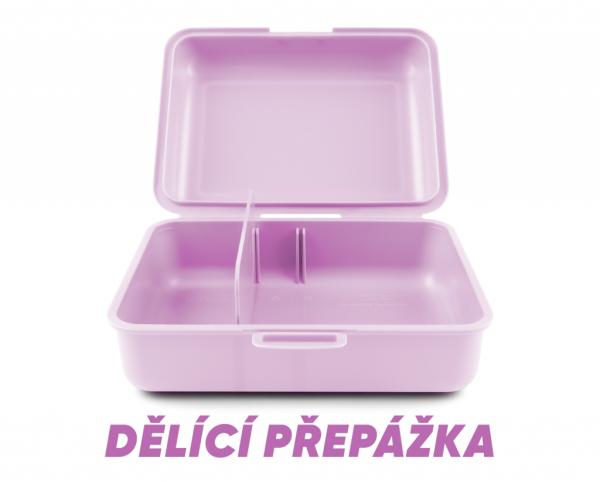 Box na desiatu Frozen 3