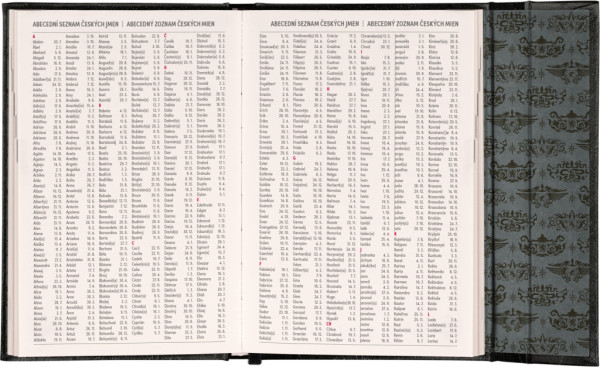 NOTIQUE Týždenný magnetický diár Harry Potter – Lumos 2026, 11 x 16 cm 6