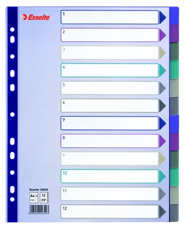 Register, plastový, A4 maxi, 12 častí, ESSELTE, farebný