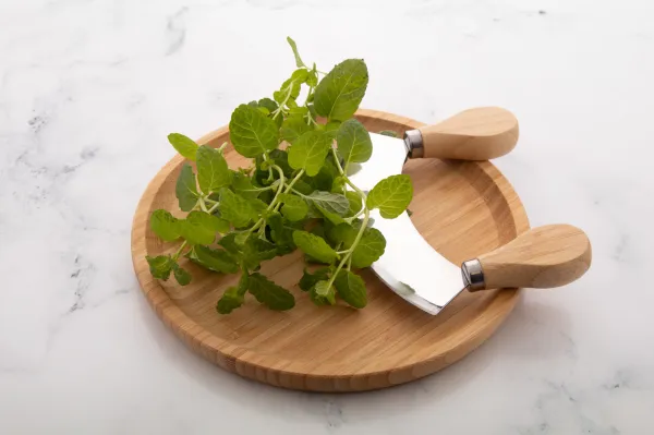Tabbouleh sada na krájanie byliniek 5