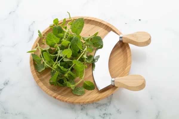 Tabbouleh sada na krájanie byliniek 6