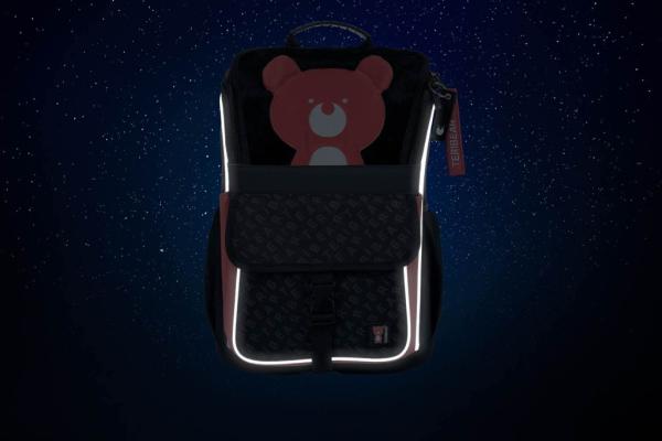 BAAGL Školská aktovka Zippy TERIBEAR 10