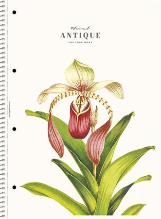 SHKOLYARYK Špirálový zošit, A4, linkovaný, 80 listov, SHOLYARYK „College Block Wonders“, mix 3