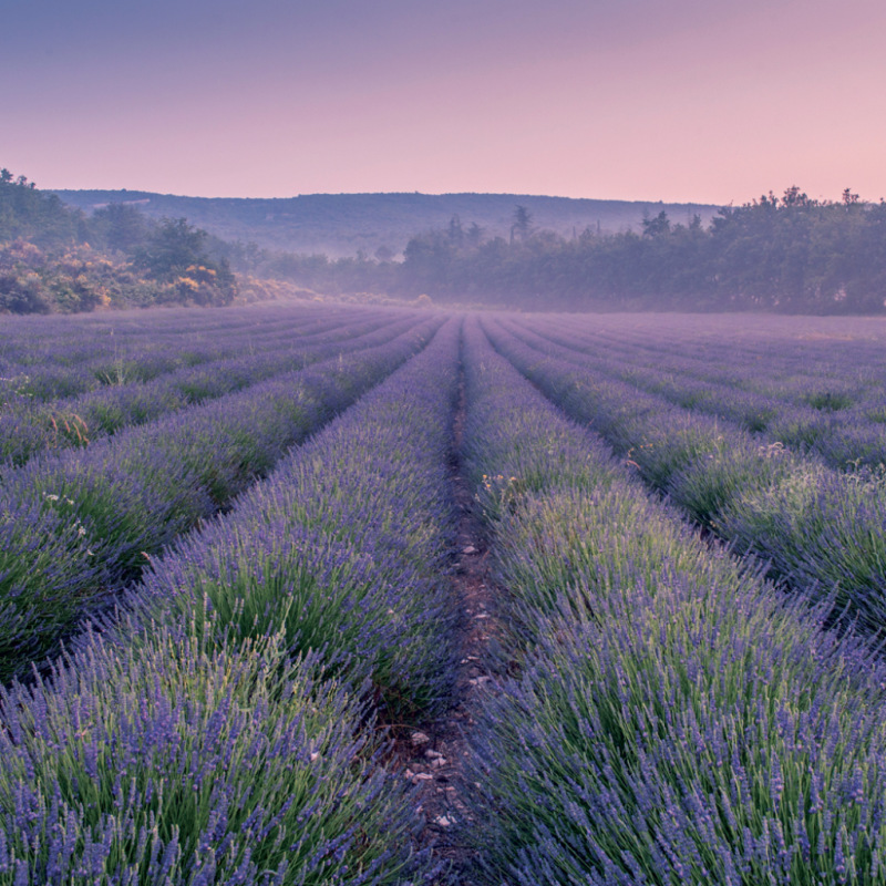 NOTIQUE Grid calendar Provence 2027, 30 x 30 cm 4