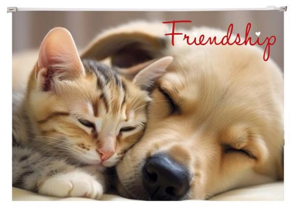Obal na zips, A4, PP, 180 mikron, PANTA PLAST "Friendship" 1