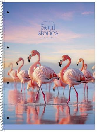 Špirálový zošit, A4+, linajkový, 80 listov, SHKOLYARYK "Soul Stories", mix 1