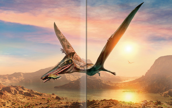 Velký obrazový sprievodca DINOSAURY 4