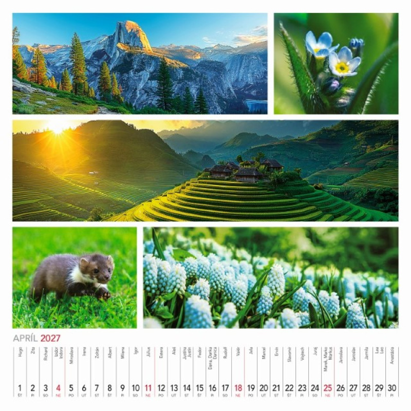 Nástenný kalendár Colours of nature 2027 5