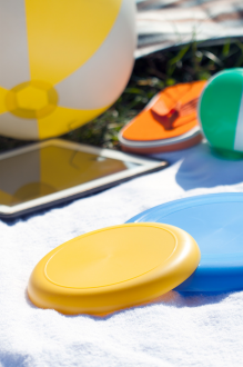 Horizon frisbee 1