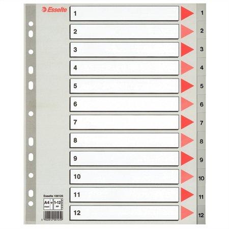 Register, plastový, A4 Maxi, 1-12, ESSELTE, sivý