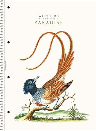 SHKOLYARYK Špirálový zošit, A4, linkovaný, 80 listov, SHOLYARYK „College Block Wonders“, mix 2