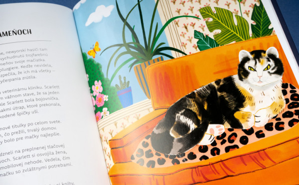 MAČKY V AKCII! - Neuveriteľné mačacie príbehy 7