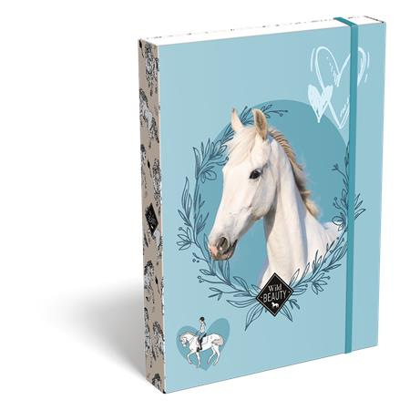 Box na zošity, A5, LIZZYSULI, "Wild Beauty, Sport Club" 1