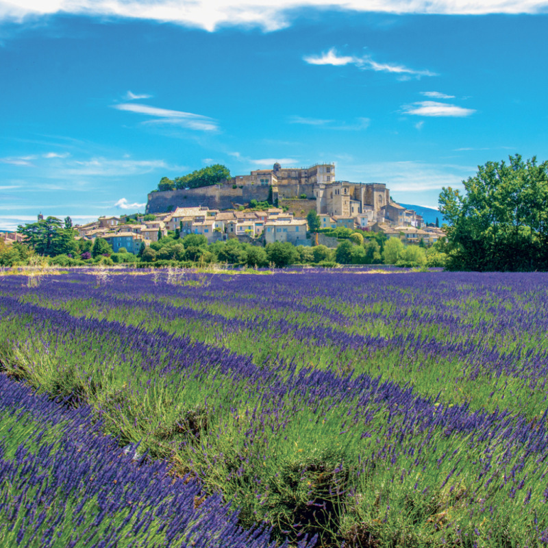 NOTIQUE Grid calendar Provence 2027, 30 x 30 cm 5