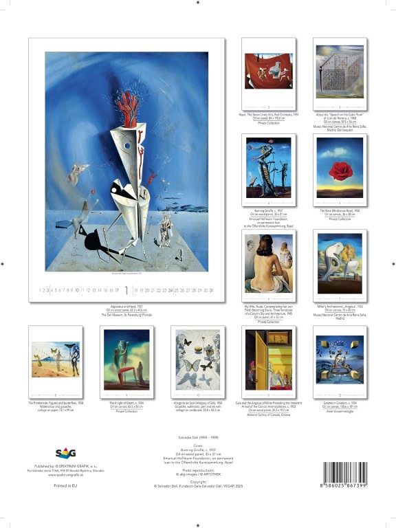 Nástenný kalendár Salvador Dalí 2027 14