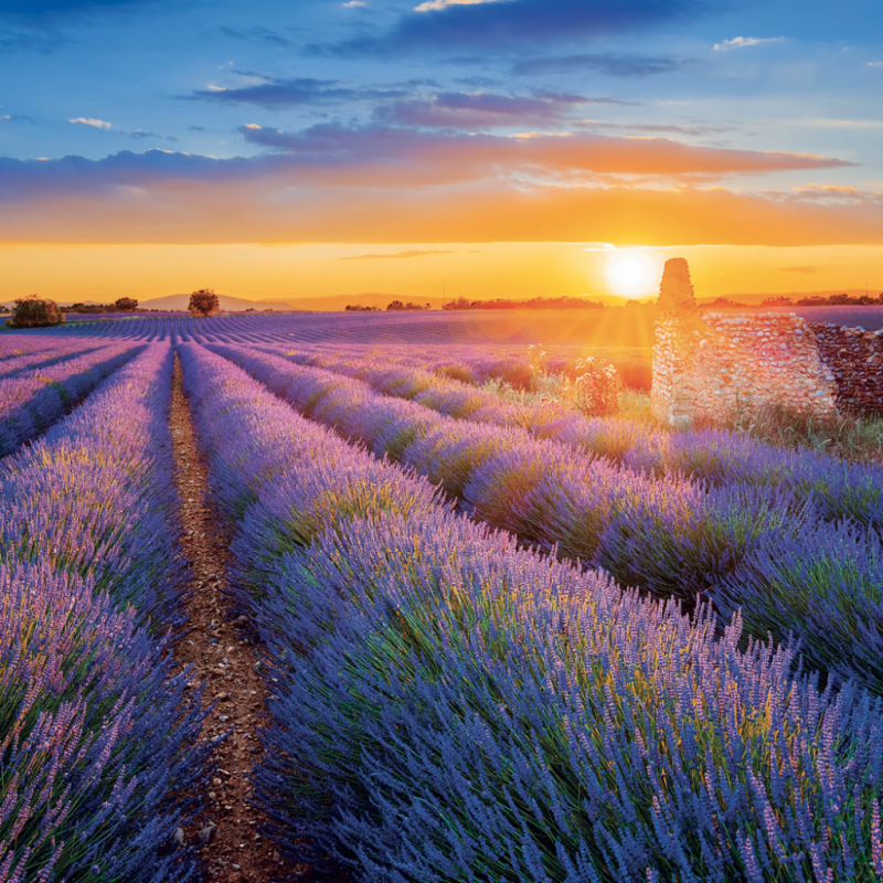 NOTIQUE Grid calendar Provence 2027, 30 x 30 cm 10