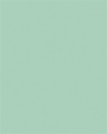 Dekoračný kartón, 2 stranný, 50x70 cm, 220 g, 10 listov, FOLIA, mätovo zelený