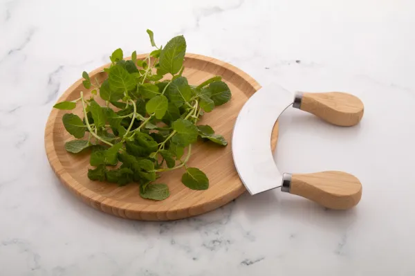 Tabbouleh sada na krájanie byliniek 7