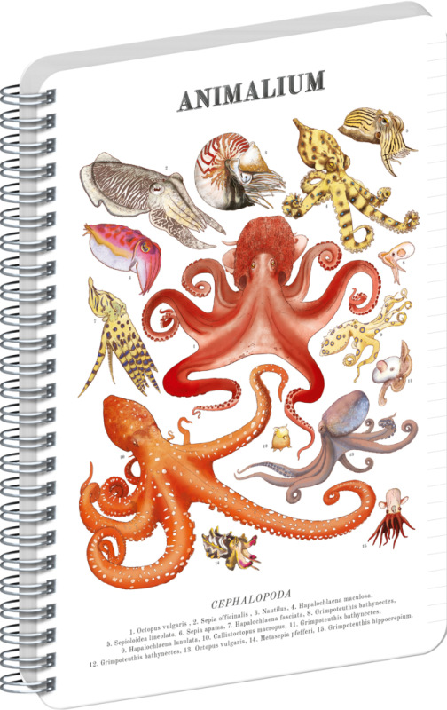NOTIQUE Špirálový blok Animalium – Hlavonožce, linajkovaný, A5