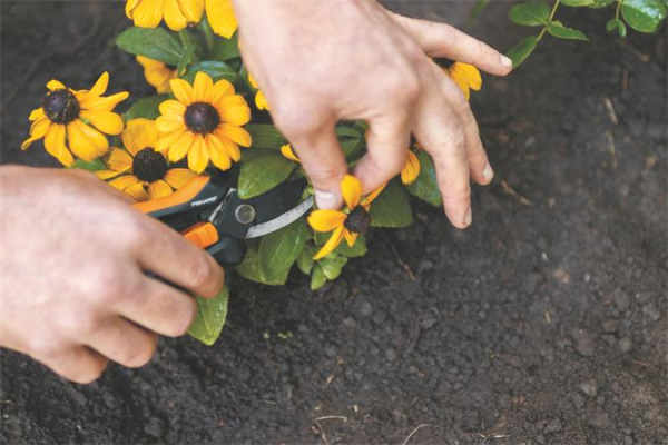 Záhradnícke nožnice, FISKARS "Solid™ SP14" 5