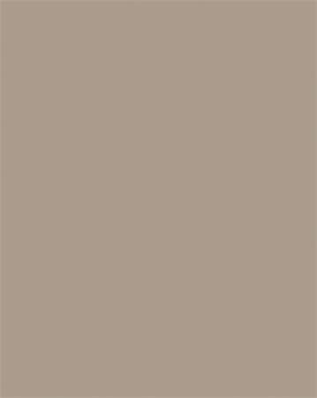 Farebný papier, A4, 130 g, 100 listov, FOLIA, cappuccino 2