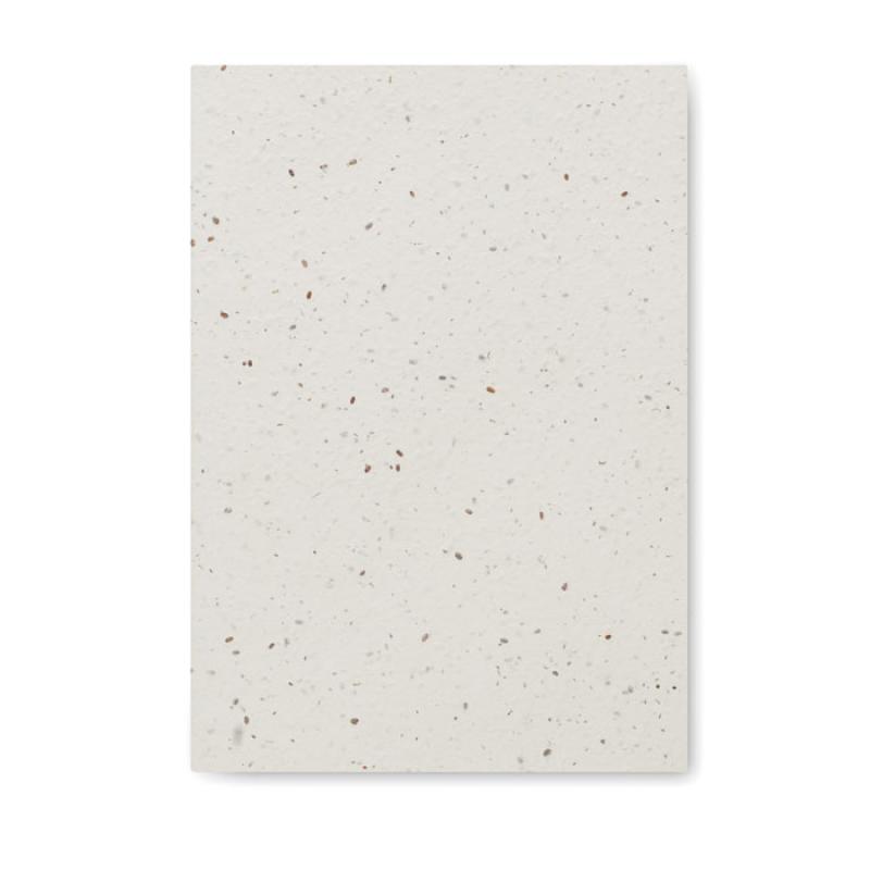 SEED BOOK 2
